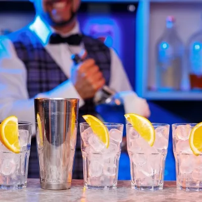 Dégustation privée de gin